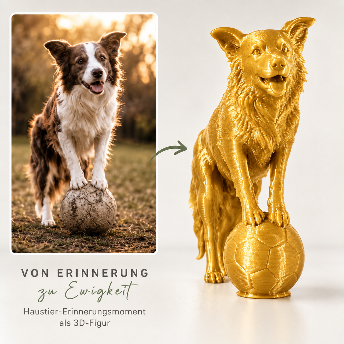 Haustier / Haustiererrinerungsmoment als 3D Figur